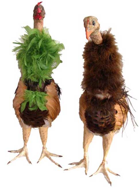 Sculpture chimère — détail de matière